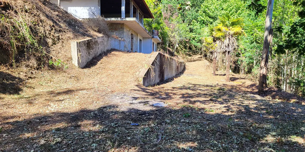 Limpeza Florestal