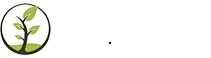 Fafe Gardens
